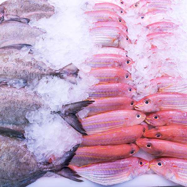 Seafood Preservative